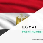Egypt Phone Number List