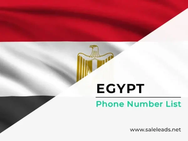 Egypt Phone Number List