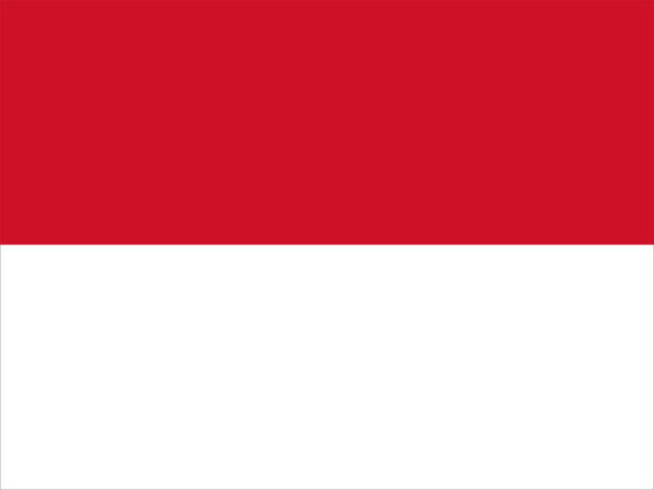 Indonesia Consumer Email List
