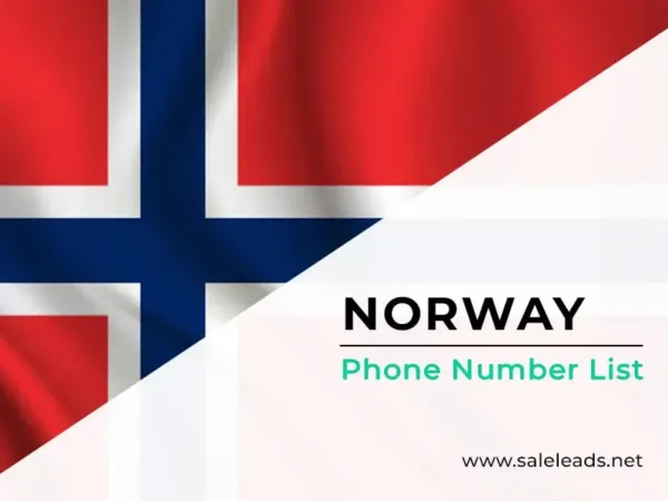 Norway Phone Number List