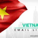 Vietnam Email List