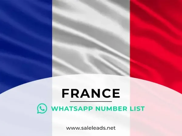 France WhatsApp Number List
