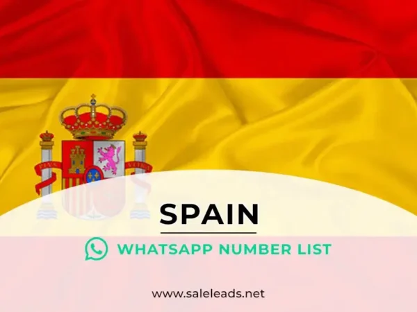 Spain WhatsApp Number List