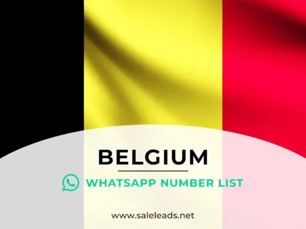 Belgium WhatsApp Number List