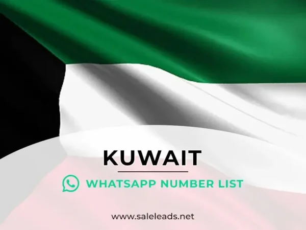 Kuwait WhatsApp Number List