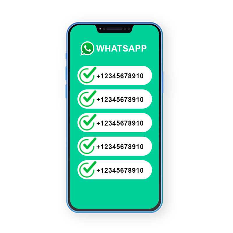 whatsapp number checker